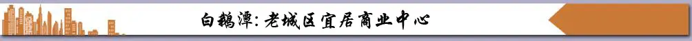 ׶̶滮