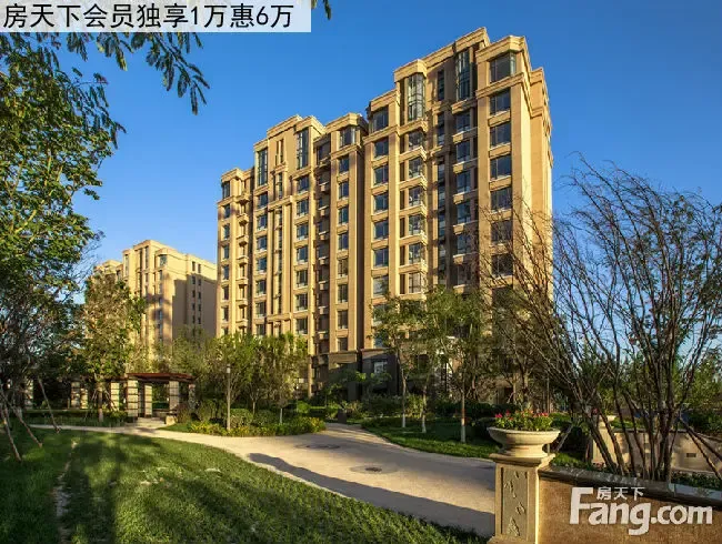 小顶顶_小鸡小鸡_小顶顶月收入