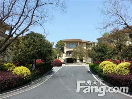【合肥】市场 :【观澜天下】335-700?半山别墅全城清盘中 均价10600