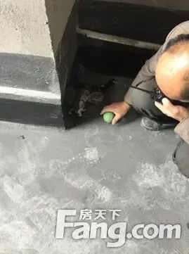 探秘精装房 满足 处女座 的N+个魔鬼细节