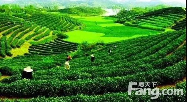 建业城