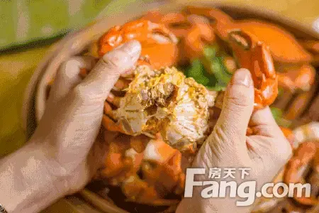 【建业百花新城】首届螃蟹暨环球美食狂欢节,12月8日盛大开幕!文中领