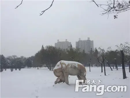 【明珠· 公园Ⅱ期 | 望璟台】2018年 场雪，银装的她更美！