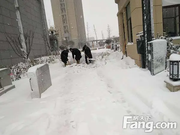 【兴合物业看不见的服务 】迎风扫冰除雪，愿您出行平安