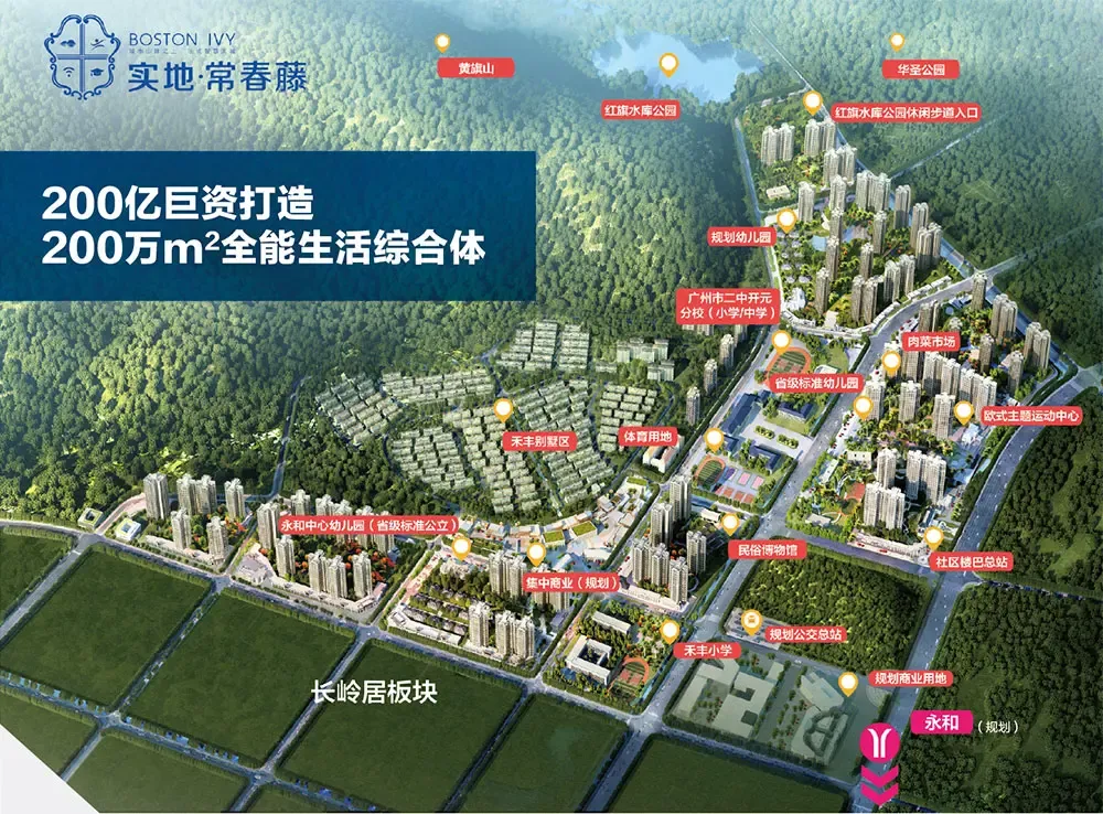 实地常春藤:长岭居首席大盘鉴赏