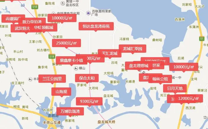 这里绝对是武汉房源最充足的片区了盘龙城探盘系列一