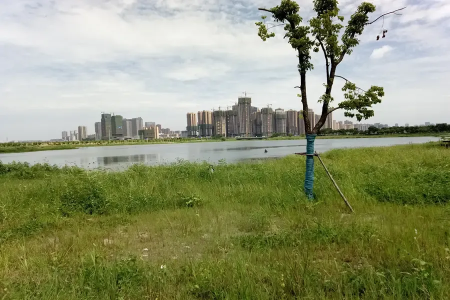 四新未来的商业在哪里?你买对了吗?