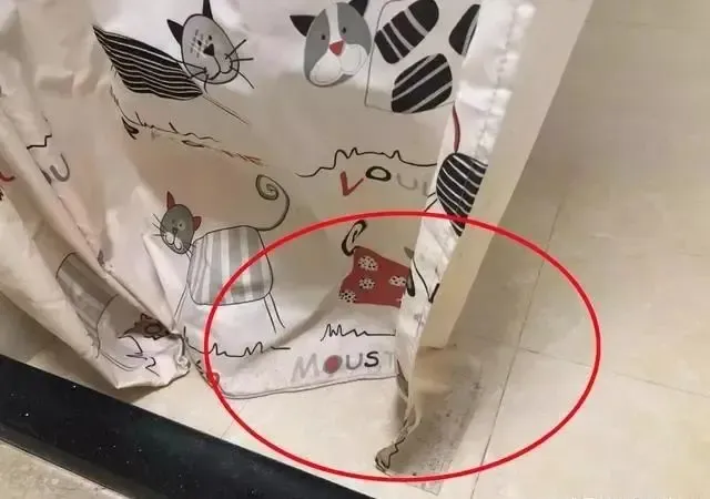 7,台盆玻璃胶发霉装修有一个细节很多人都很容易忽略的,那就是玻璃胶